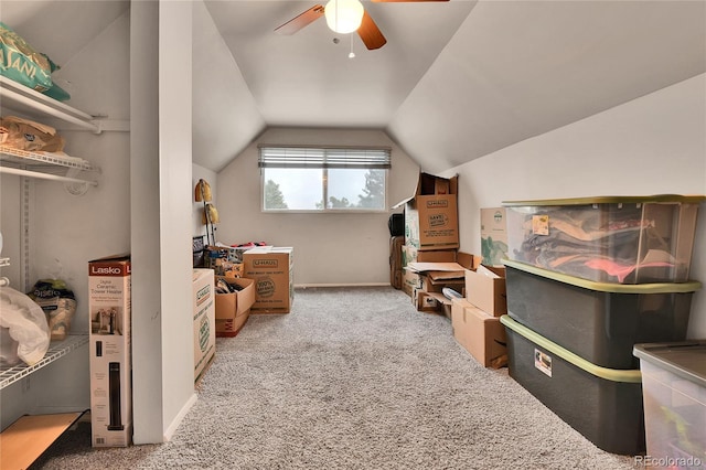 8156 Downing St, Denver, CO 80229 - photo 19