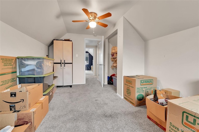 8156 Downing St, Denver, CO 80229 - photo 20