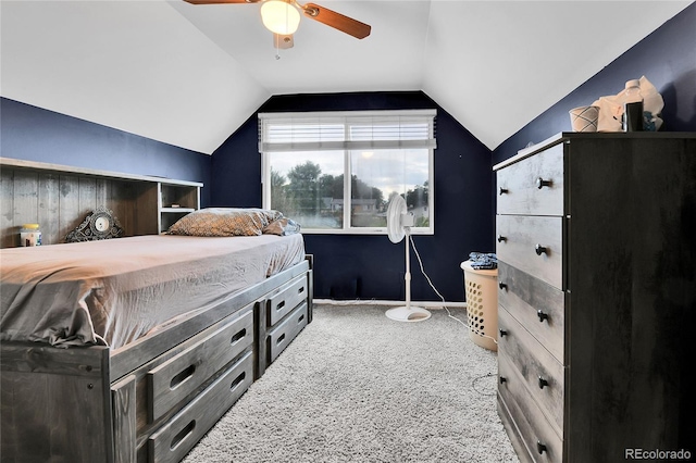 8156 Downing St, Denver, CO 80229 - photo 21