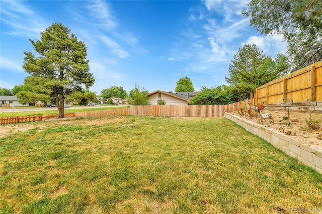 8156 Downing St, Denver, CO 80229 - photo 25