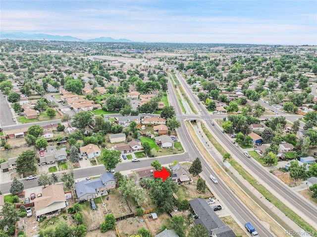 8156 Downing St, Denver, CO 80229 - photo 34