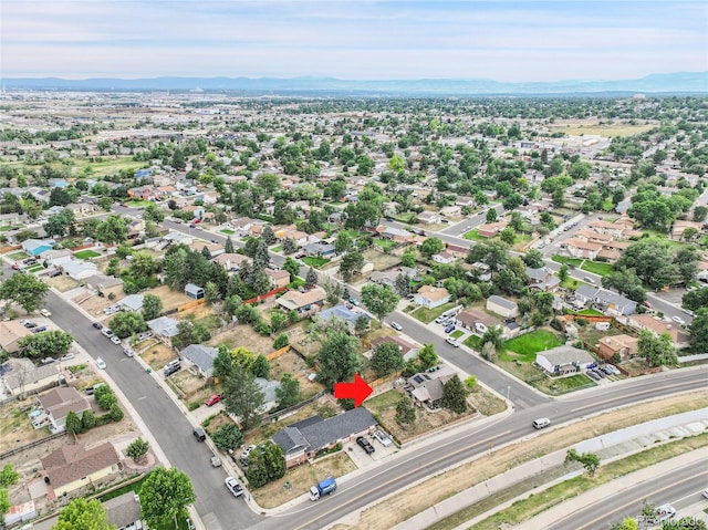 8156 Downing St, Denver, CO 80229 - photo 35