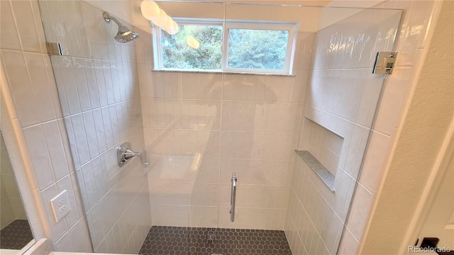 10538 Tiger Chase, Lone Tree, CO 80124 - bathroom with a stall shower