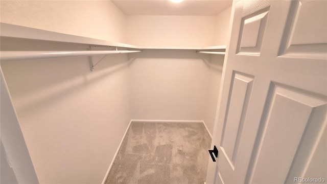 10538 Tiger Chase, Lone Tree, CO 80124 - walk in closet with carpet flooring