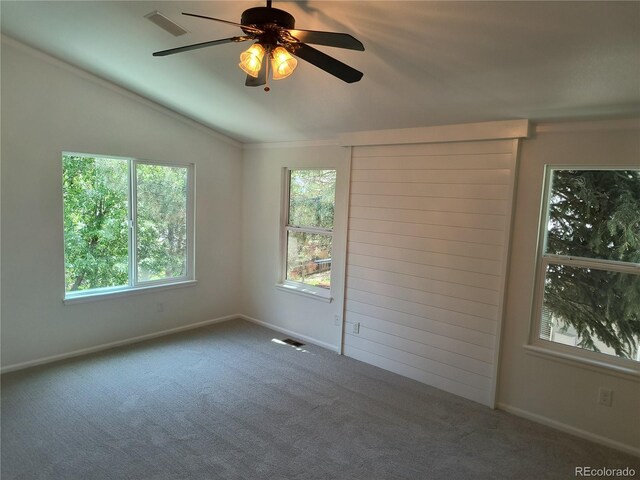 10538 Tiger Chase, Lone Tree, CO 80124 - photo 11