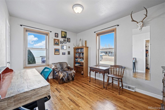 home office featuring a healthy amount of sunlight, light wood-style flooring, and baseboards