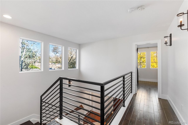 hallway with plenty of natural light and dark hardwood / wood-style flooring