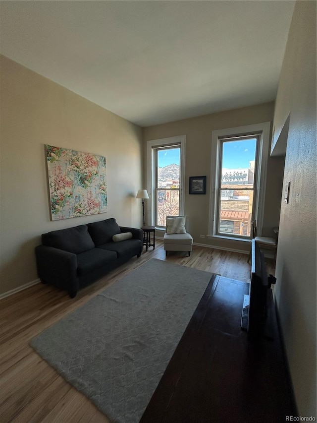 living room with baseboards and wood finished floors