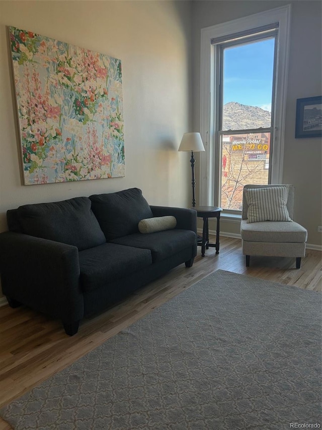 living room featuring baseboards and wood finished floors