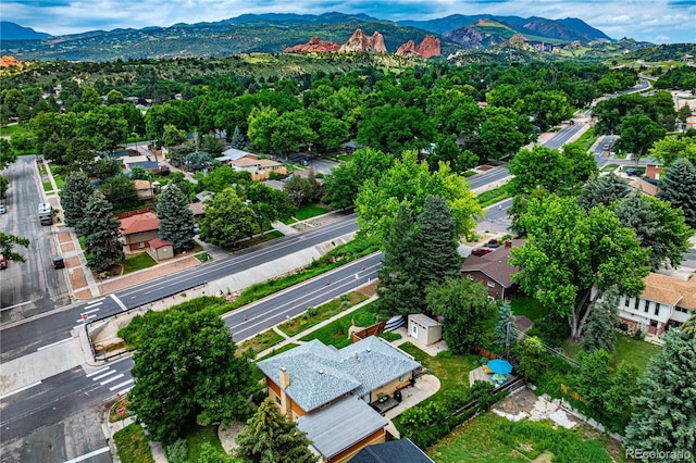 903 N 31st St, Colorado Springs, CO 80904 - photo 16
