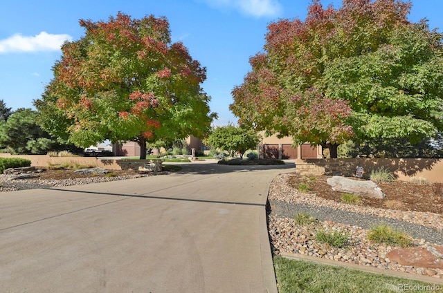 view of street with concrete driveway