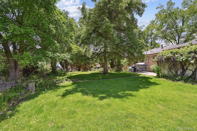6050 Marshall Ct, Arvada, CO 80003 - view of green lawn with a patio area
