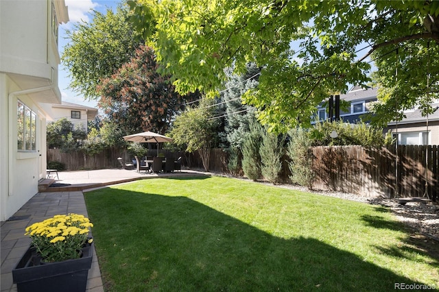 view of yard with a patio area and a fenced backyard