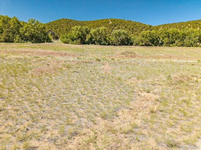 LOT4 Rocky Mountain Rd, Salida, CO 81201