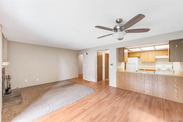 4896 S Dudley St Unit 4-7, Littleton, CO 80123 - unfurnished living room featuring a ceiling fan and light wood-style floors