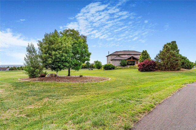 17635 Silver Fox Ct, Mead, CO 80542 - photo 43