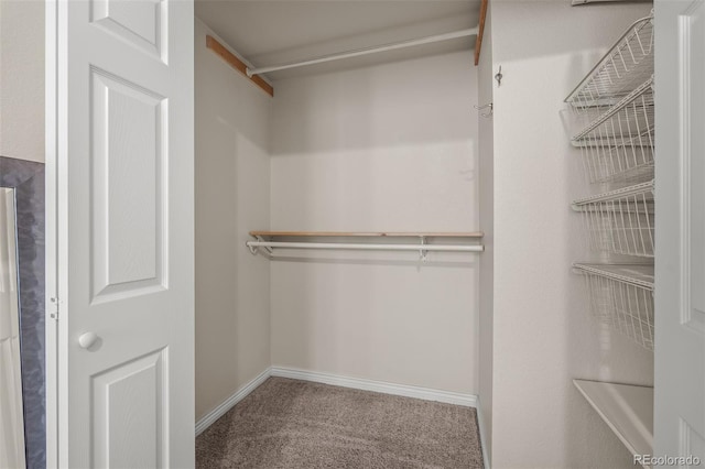 2907 Pennsylvania Ave, Colorado Springs, CO 80907 - walk in closet with carpet flooring