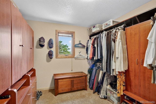 7908 Beverly Blvd, Castle Pines, CO 80108 - photo 20