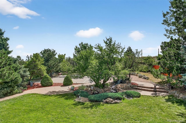 7908 Beverly Blvd, Castle Pines, CO 80108 - photo 42
