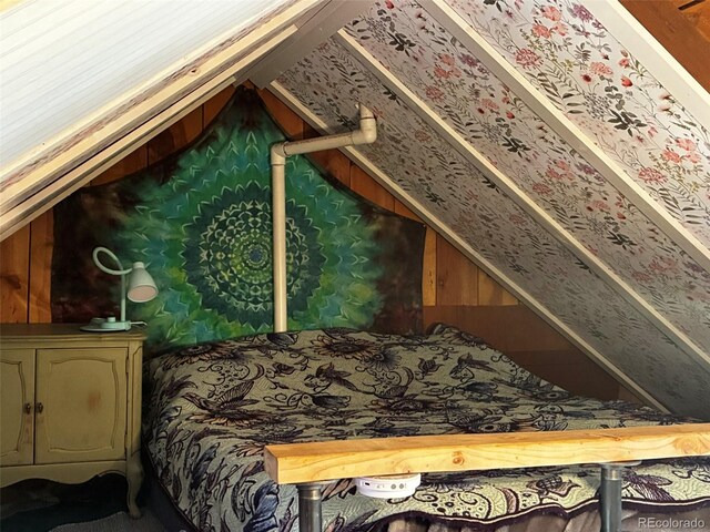 163 Ward St, Bailey, CO 80421 - view of unfinished attic