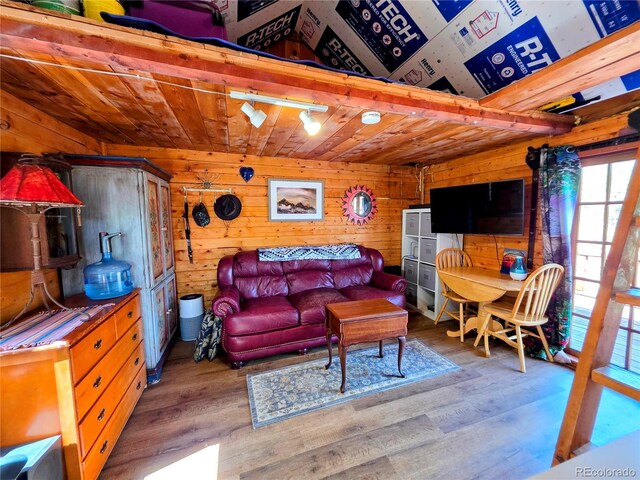 163 Ward St, Bailey, CO 80421 - living room featuring wood ceiling, wood walls, and wood finished floors