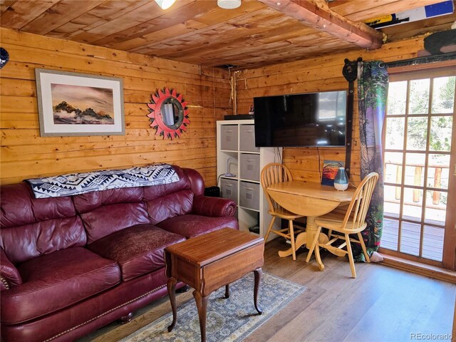 163 Ward St, Bailey, CO 80421 - living area with wooden ceiling, wood walls, and wood finished floors