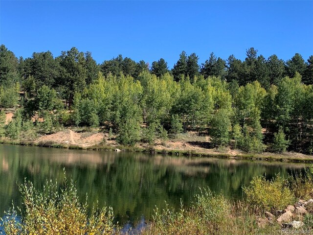 163 Ward St, Bailey, CO 80421 - view of water feature