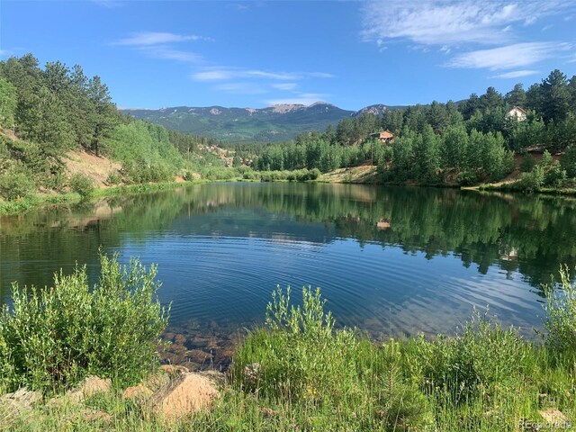 163 Ward St, Bailey, CO 80421 - property view of water with a view of trees and a mountain view