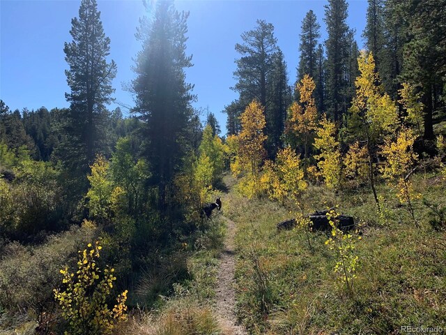 163 Ward St, Bailey, CO 80421 - view of landscape with a forest view