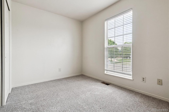 4592 Malaya St, Denver, CO 80249 - photo 16