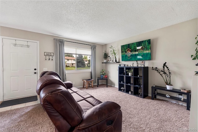 1216 S Uvalda St, Aurora, CO 80012 - living room with a textured ceiling, carpet floors, and baseboards