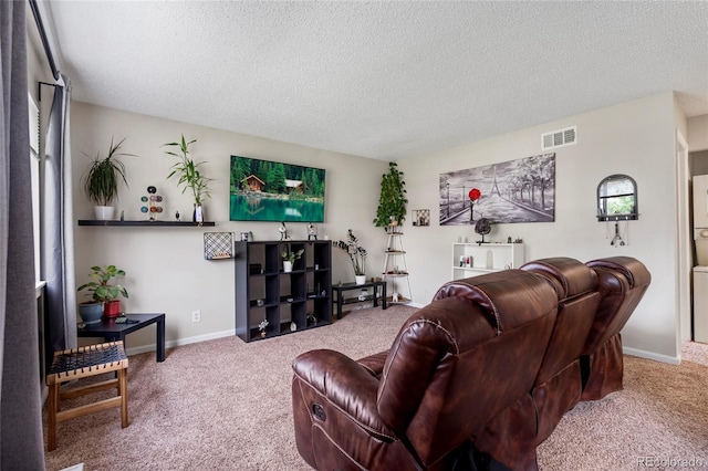 1216 S Uvalda St, Aurora, CO 80012 - living room with carpet floors and a textured ceiling