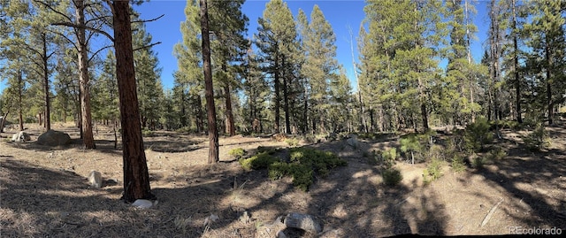 Aspen Turn, Buena Vista CO, 81211 land for sale