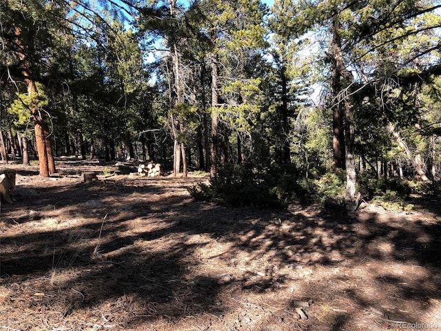 Listing photo 2 for Aspen Turn, Buena Vista CO 81211