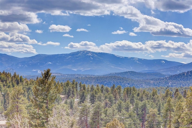 mountain view with a wooded view