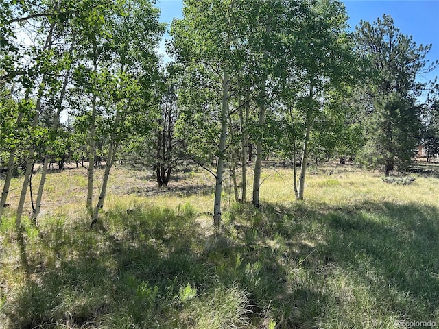 519 Hayhook Way, Hartsel, CO 80449 - photo 1