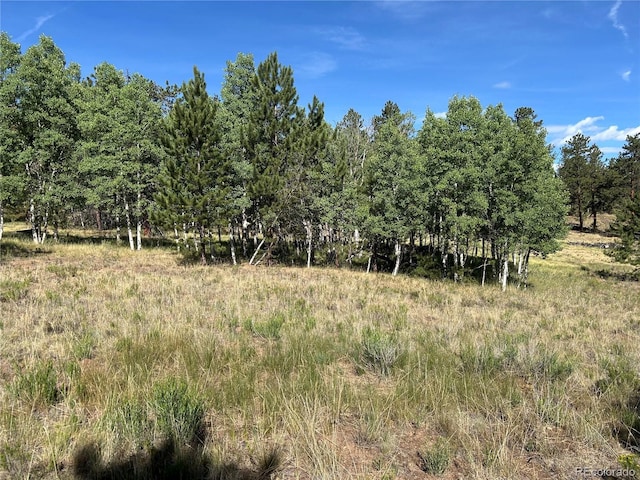 519 Hayhook Way, Hartsel, CO 80449 - photo 2