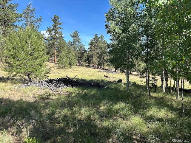 519 Hayhook Way, Hartsel, CO 80449 - photo 3