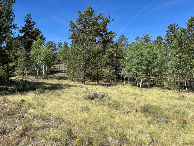 519 Hayhook Way, Hartsel, CO 80449 - photo 4
