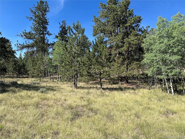 519 Hayhook Way, Hartsel, CO 80449 - photo 5