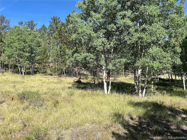 519 Hayhook Way, Hartsel, CO 80449 - photo 7