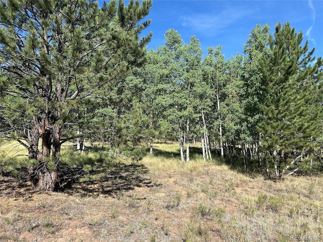 519 Hayhook Way, Hartsel, CO 80449 - photo 8
