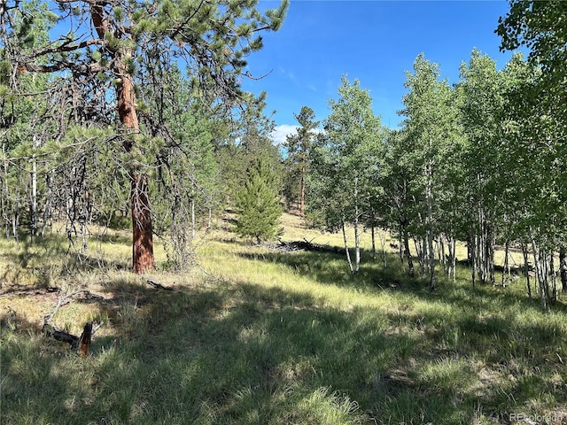 519 Hayhook Way, Hartsel, CO 80449 - photo 9