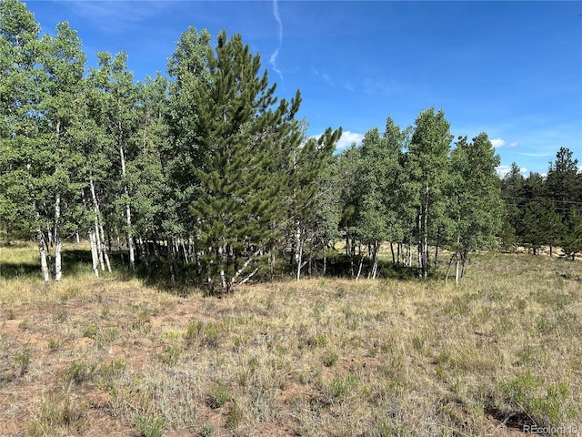 519 Hayhook Way, Hartsel, CO 80449 - photo 10