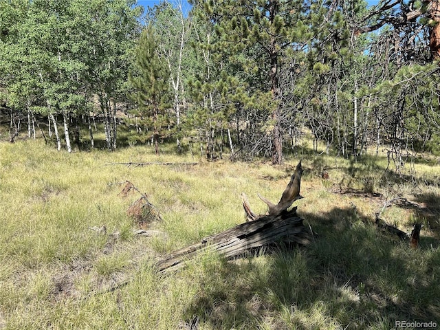 519 Hayhook Way, Hartsel, CO 80449 - photo 11
