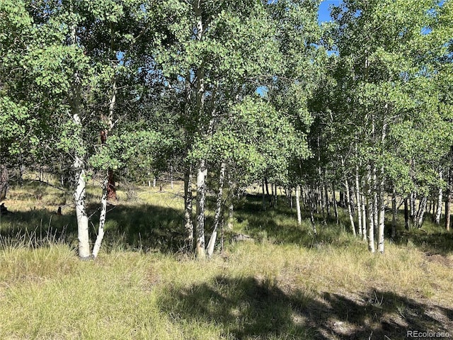 519 Hayhook Way, Hartsel, CO 80449 - photo 12