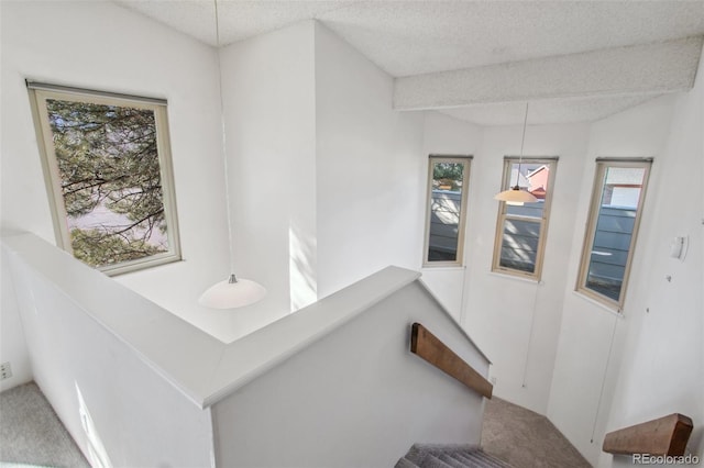 432 W Rockrimmon Blvd Unit B, Colorado Springs, CO 80919 - stairway featuring carpet and a textured ceiling