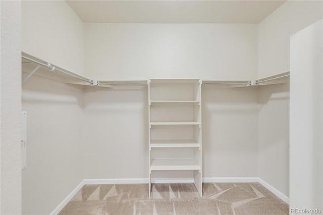 walk in closet featuring light carpet