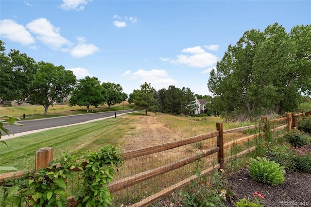 9057 Mountain Laurel Way, Highlands Ranch, CO 80126 - photo 42