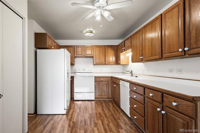 kitchen featuring sink, white appliances, dark wood-type flooring, and ceiling fan